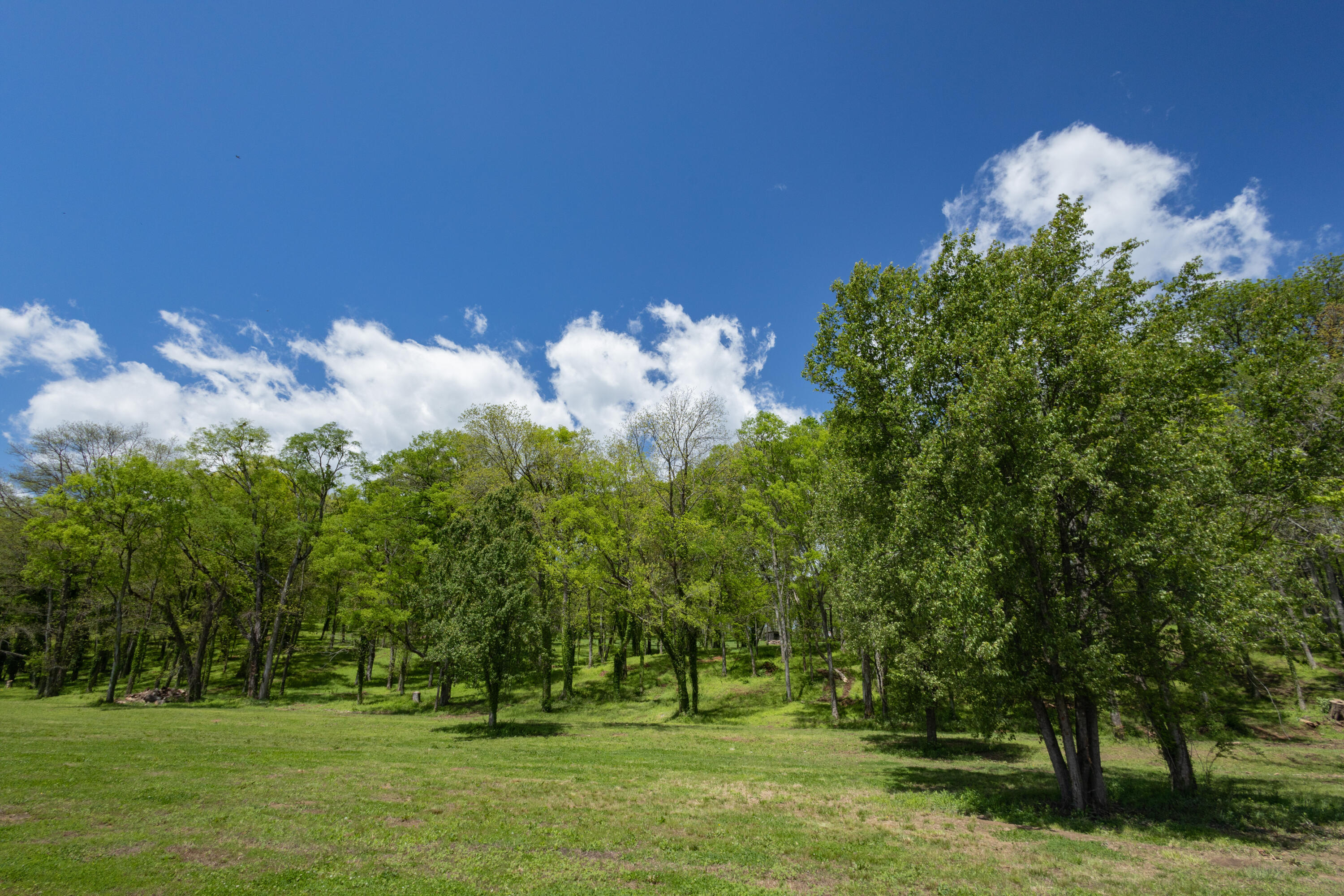 1182 Riverbank Ridge Lupton City, TN 37351 - Photo 4 of 12 Facing Homesite