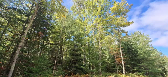 $65,000 | Lot 2-block Raspberry Trail, La Pointe, WI 54850