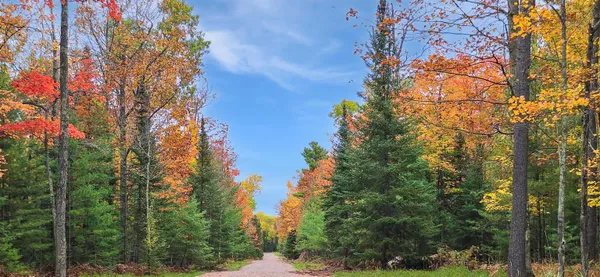 $65,000 | Lot 2-block Raspberry Trail, La Pointe, WI 54850