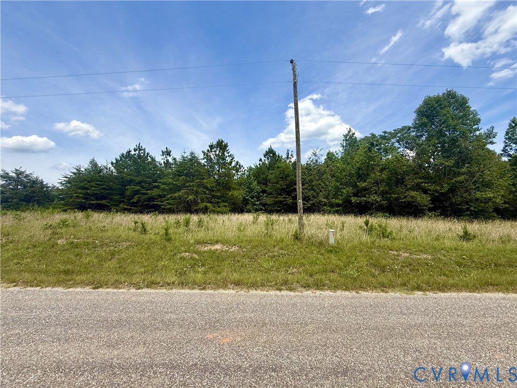 Lot 26 Whispering Wood Road Meherrin, VA 23954 - Photo 7 of 10