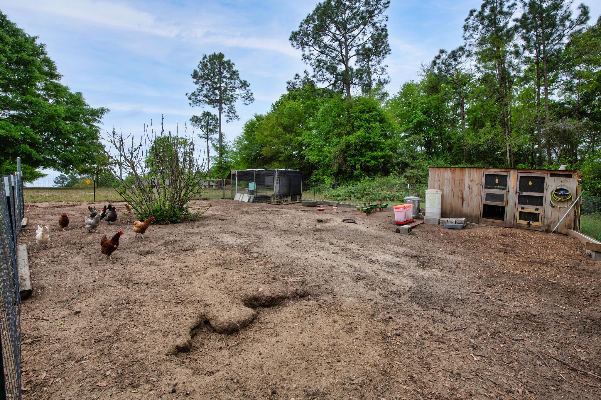 3571 Schifko Road Cantonment, FL 32533 - Photo 8 of 59 Chicken Coops