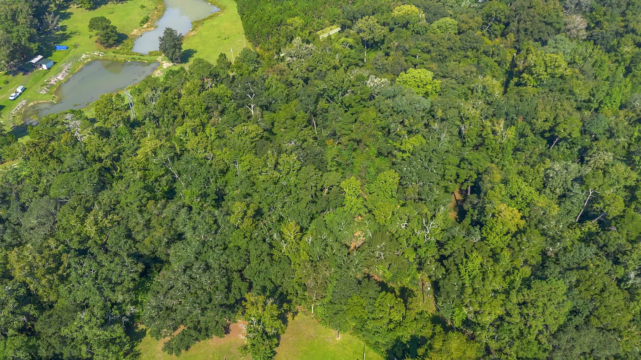 9518 Elgin Road Tallahassee, FL 32305 - Photo 8 of 12 Gallery Image 8