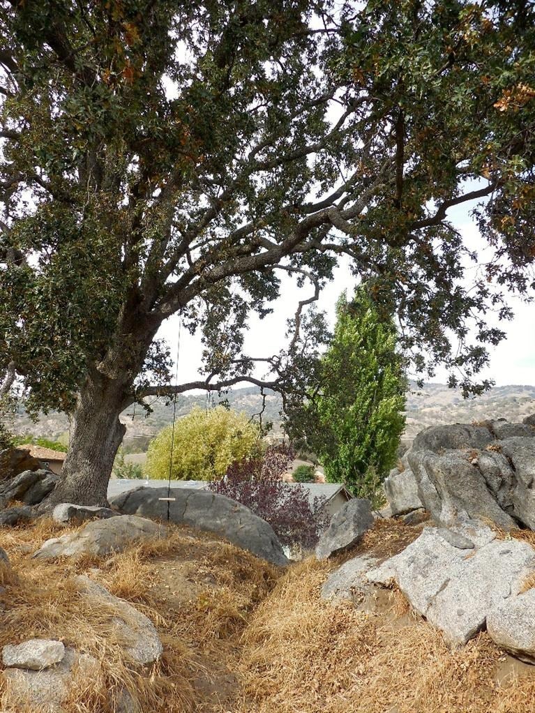 29140 North Lower Valley Road Tehachapi, CA 93561 - Photo 7 of 42 Gallery Image 7