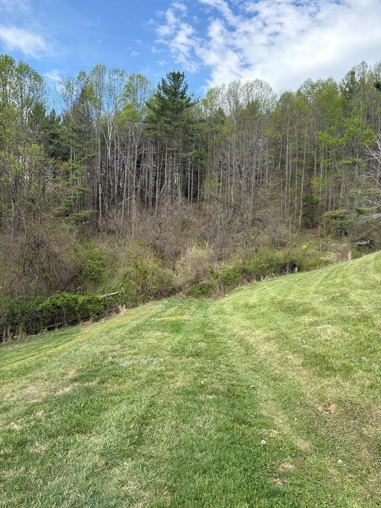 Tbd Tbd Tower Road Galax, VA 24333 - Photo 1 of 10 Gallery Image 1