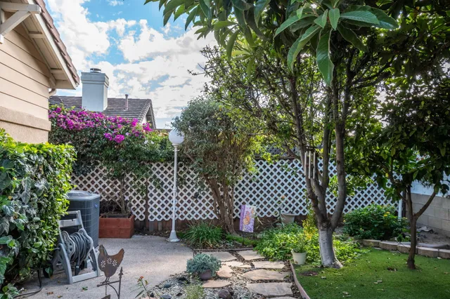 a couple of flower plants in front of a house