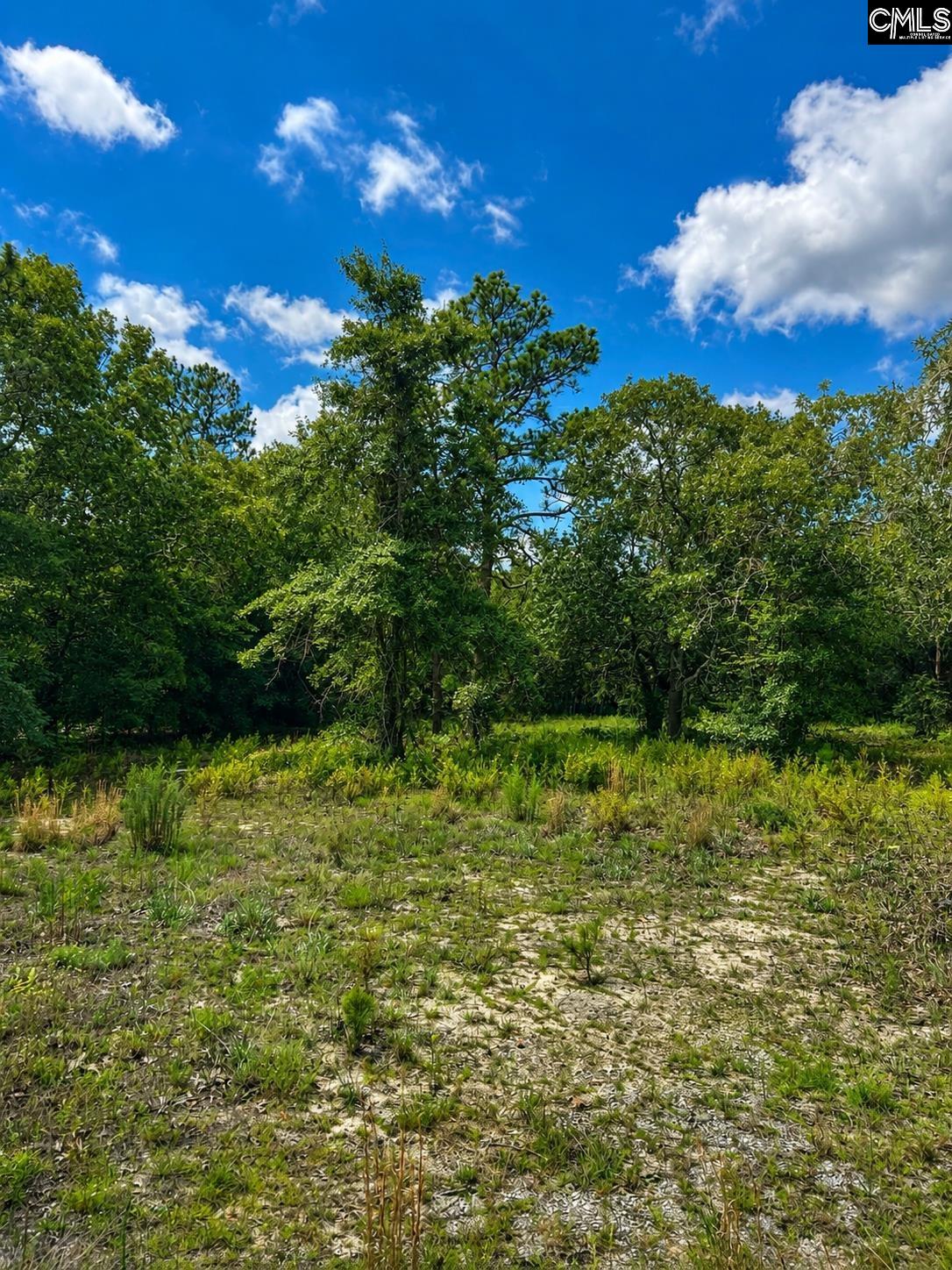 1778 Providence Road Orangeburg, SC 29118 - Photo 4 of 7