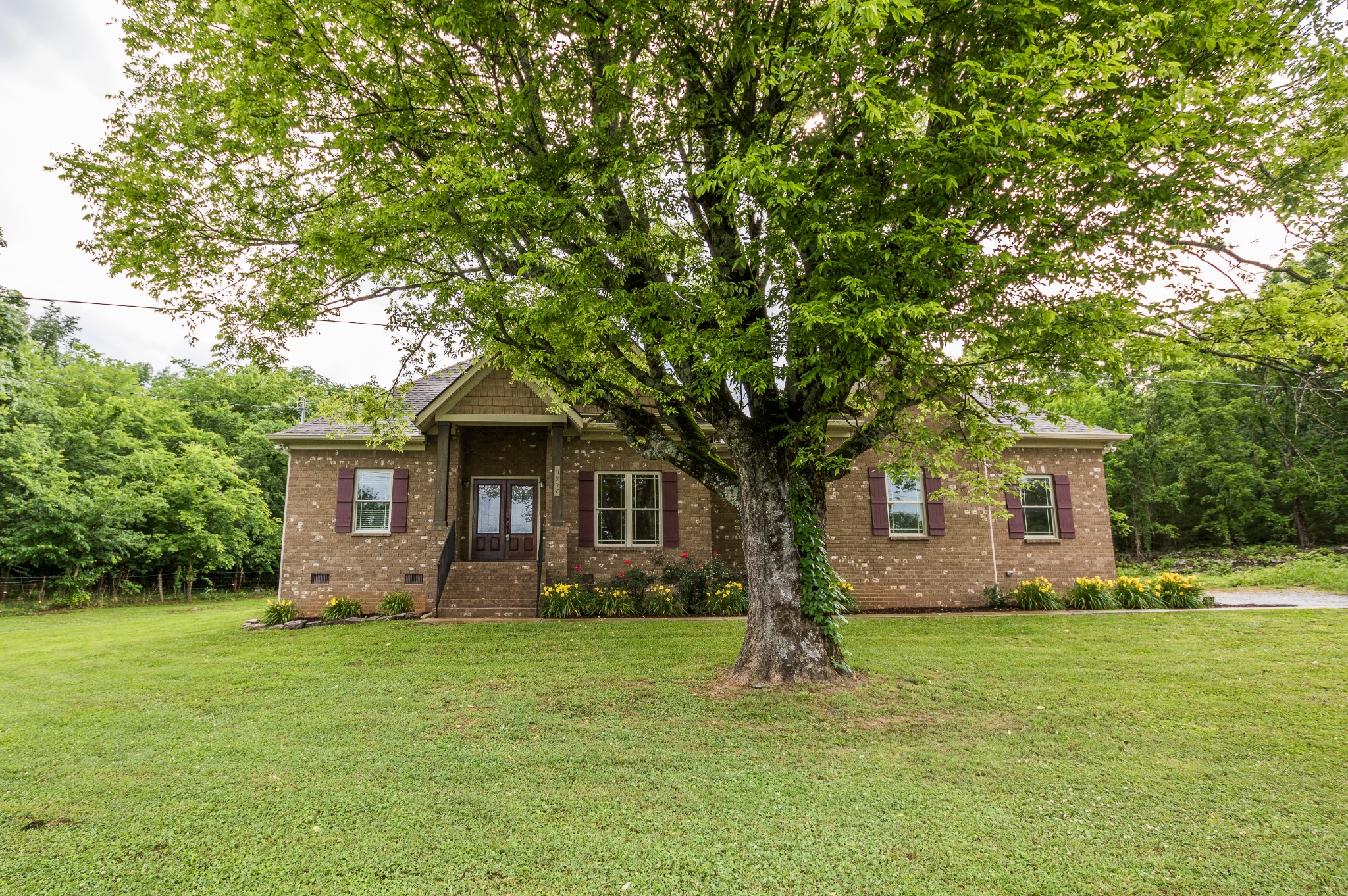 a front view of house with yard and green space