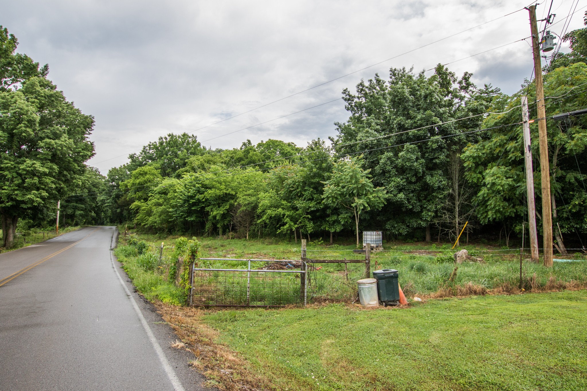 3597 Thompson Road Rockvale, TN 37153 - Photo 2 of 23 a view of a park with large trees