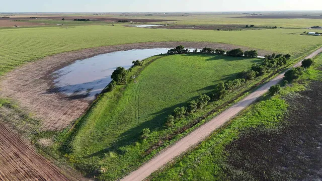 a view of a lake with a beach