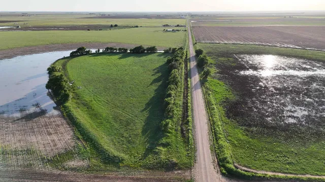 a view of a lake from a yard