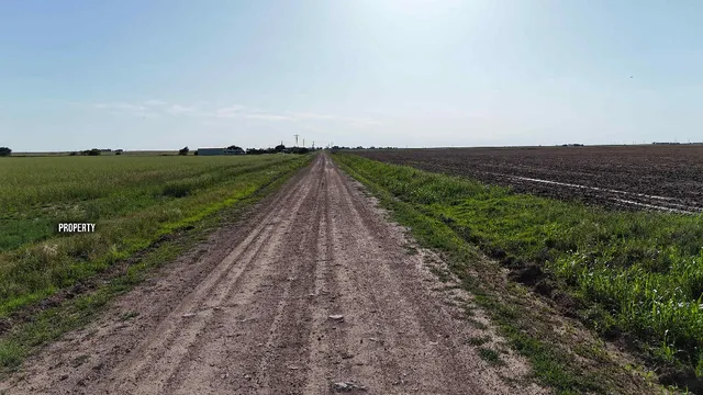 a view of a street with a yard