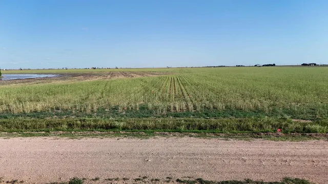 a view of a field with an ocean view