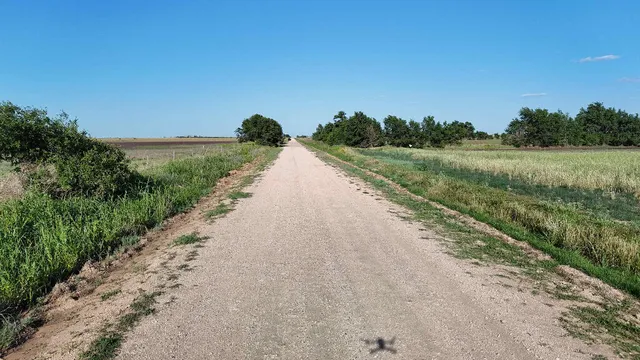 a view of a road with a yard