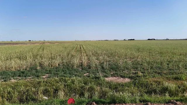 a view of an ocean and beach