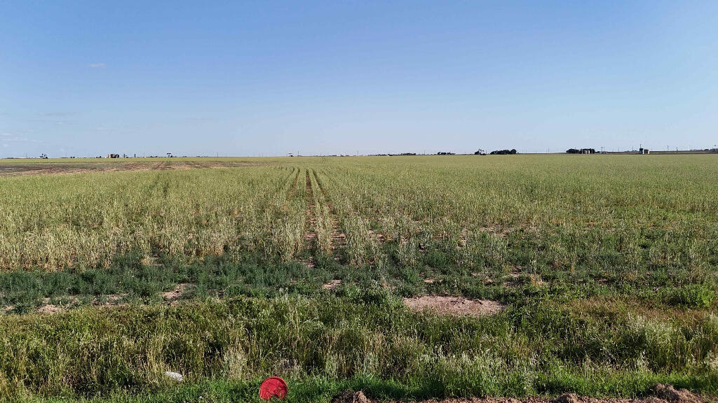 632 County Road 230 Post, TX 79356 - Photo 18 of 28