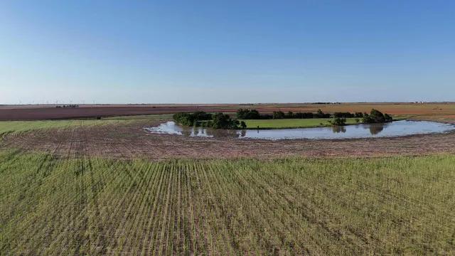 a view of a lake with a city