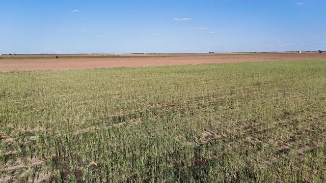 $99,900 | 632 County Road 230, Post, TX 79356