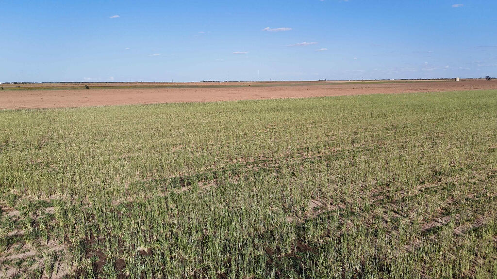 632 County Road 230 Post, TX 79356 - Photo 27 of 28 a view of an ocean
