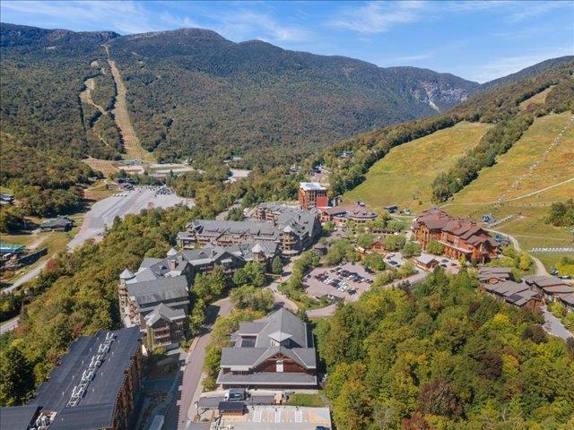7412 Mountain Road, Unit 425 #522 Stowe, VT 05672 - Photo 49 of 54