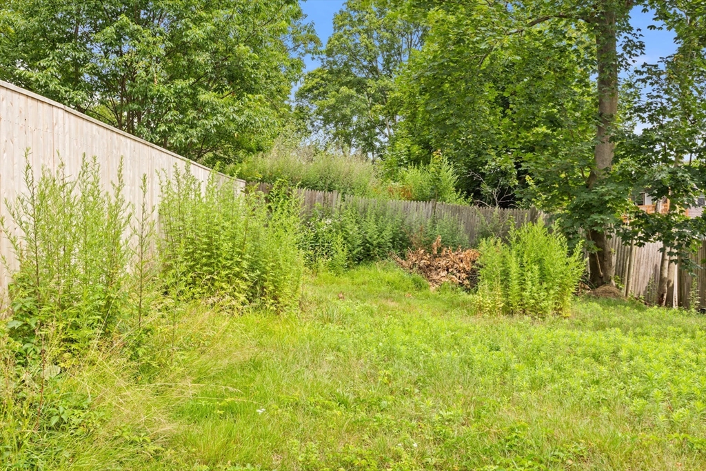 7 Fox Street, Unit 1 Boston, MA 02122 - Photo 20 of 24