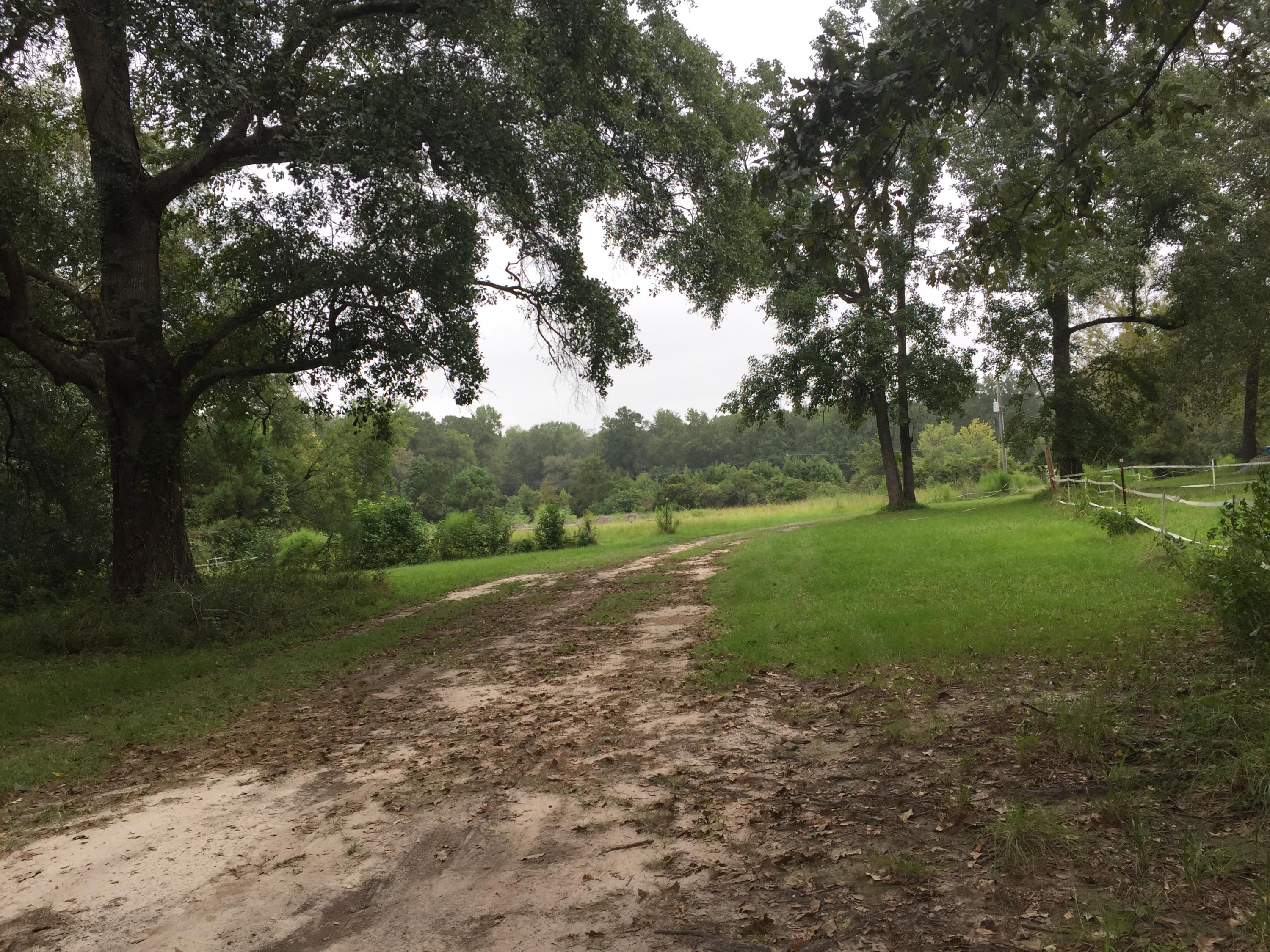 10373 Lincolnville Road Ladson, SC 29485 - Photo 11 of 12 IMG_3110