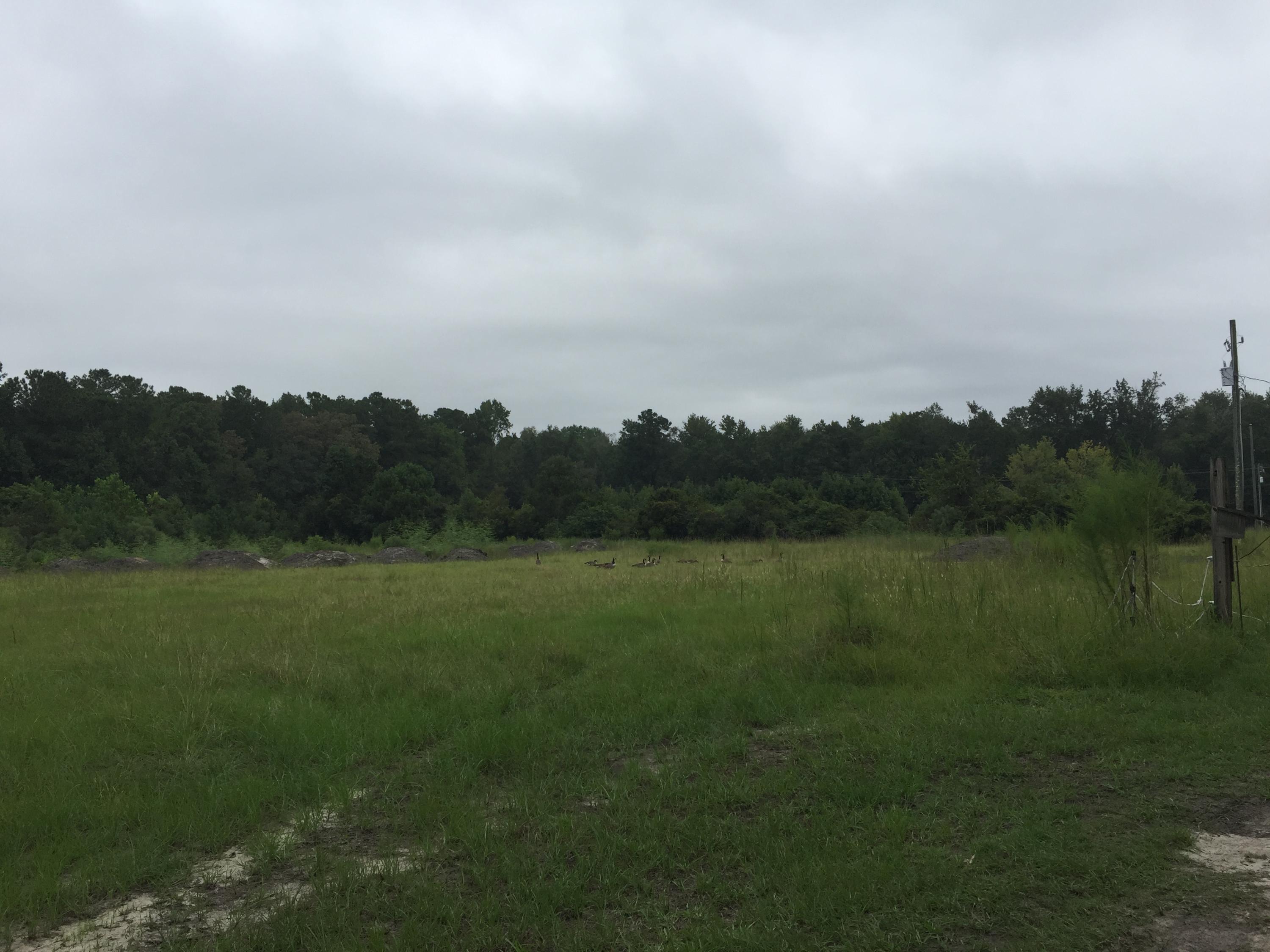 10373 Lincolnville Road Ladson, SC 29485 - Photo 12 of 12 IMG_3114