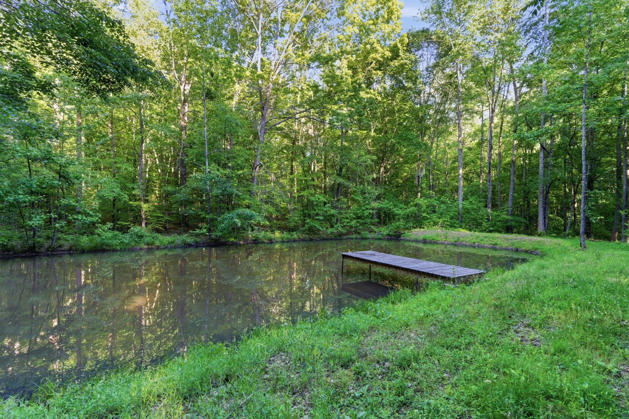 450 Paul Thompson Road Bethpage, TN 37022 - Photo 43 of 48 Gallery Image 43
