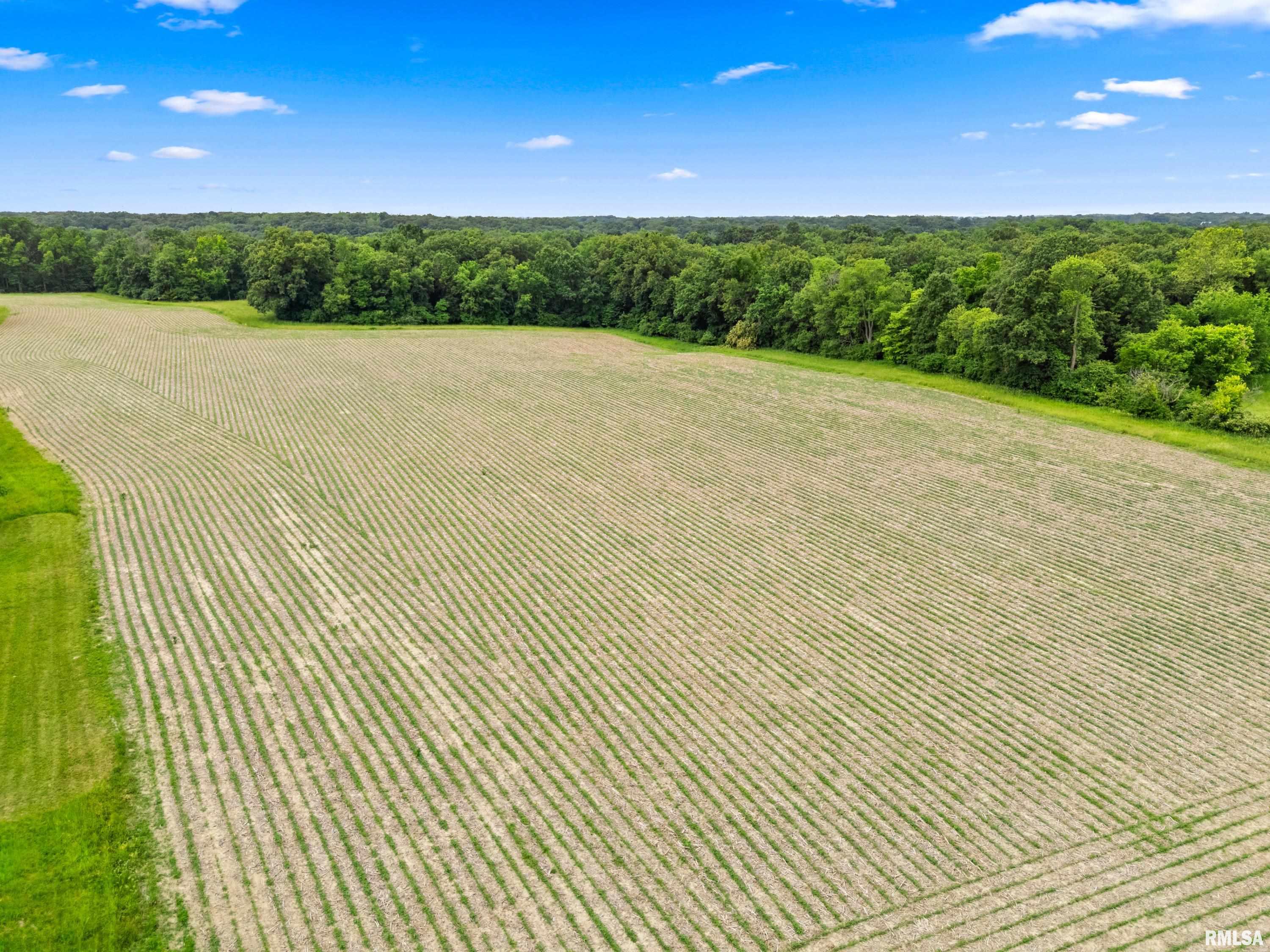 7021 South Clauson Road Glasford, IL 61533 - Photo 10 of 34