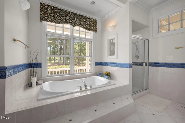 a bathroom with a bathtub and a shower