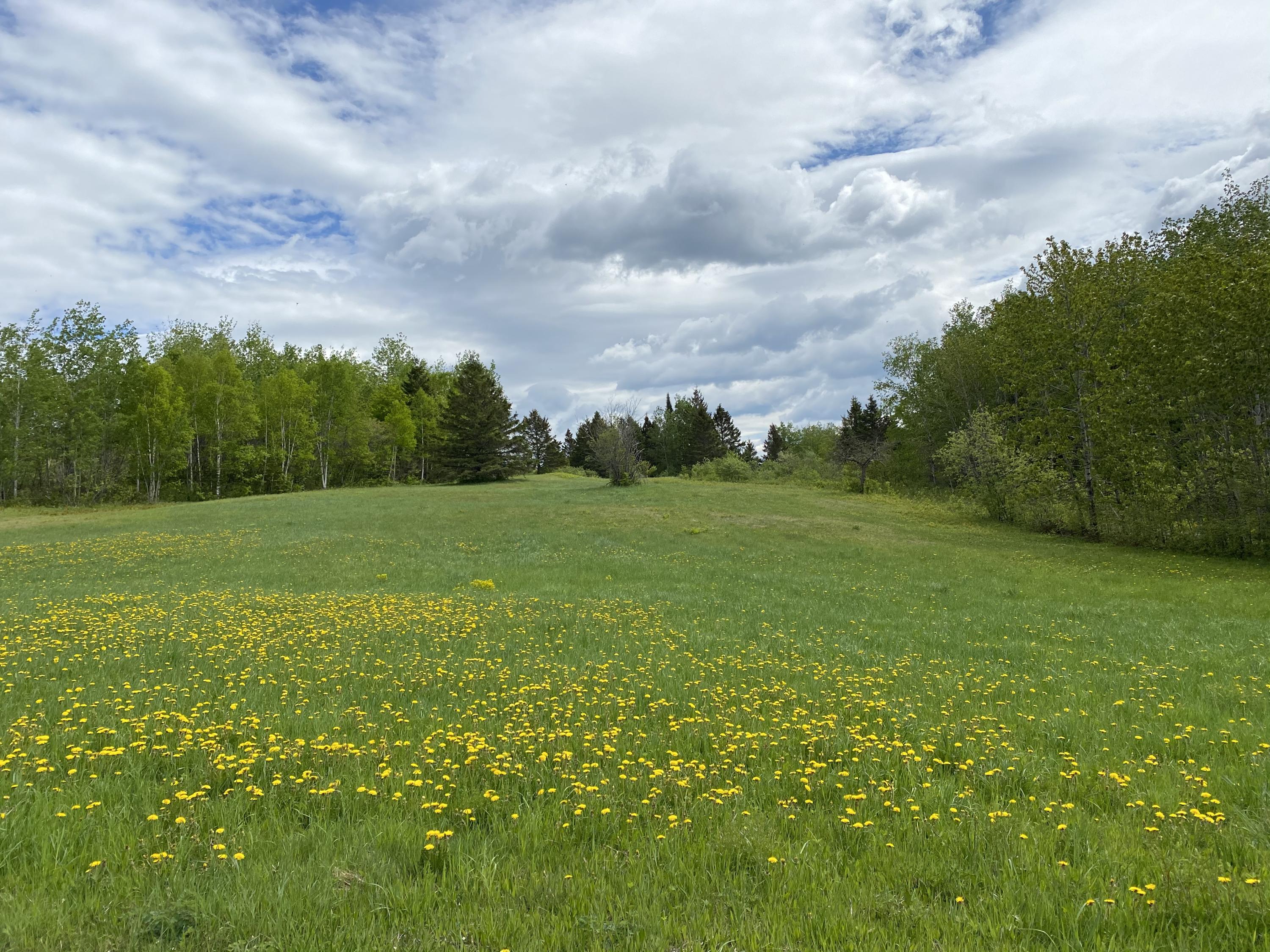 320 Parent Road Van Buren, ME 04785 - Photo 15 of 17 IMG_3674