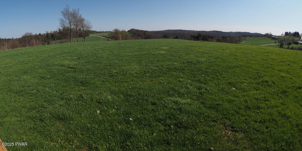 Swendsen Road Tyler Hill, PA 18469 - Photo 6 of 7 Gallery Image 6