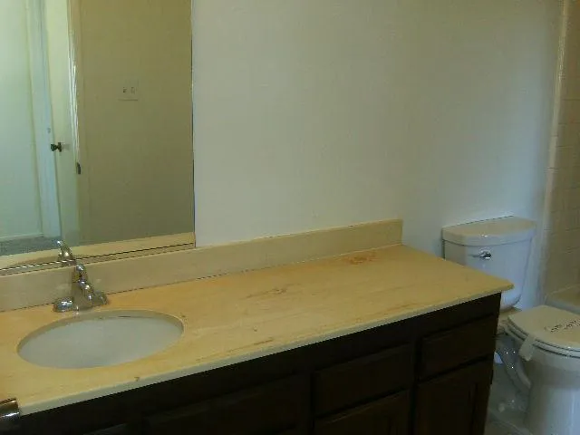 a bathroom with a sink and a toilet