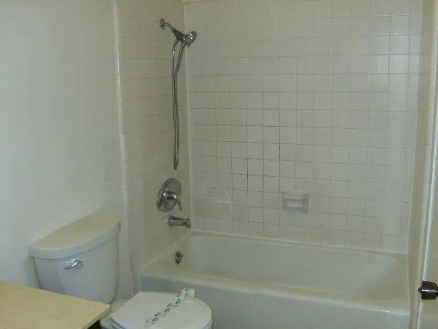 a bathroom with a shower and a toilet
