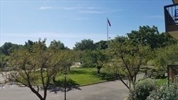 3920 Mystic Valley Parkway, Unit 115 Medford, MA 02155 - Photo 4 of 27 a view of a yard with a tree