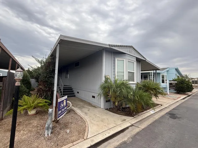 a view of a house with a small yard plants and a large tree