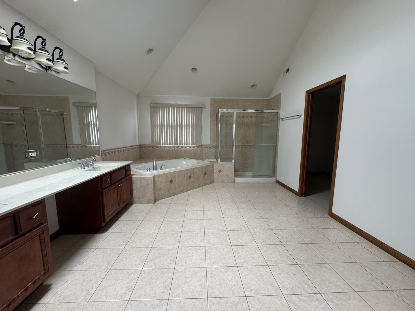 1008 Willow Road Matteson, IL 60443 - Photo 12 of 19 a large bathroom with a double vanity sink a mirror and a bathtub