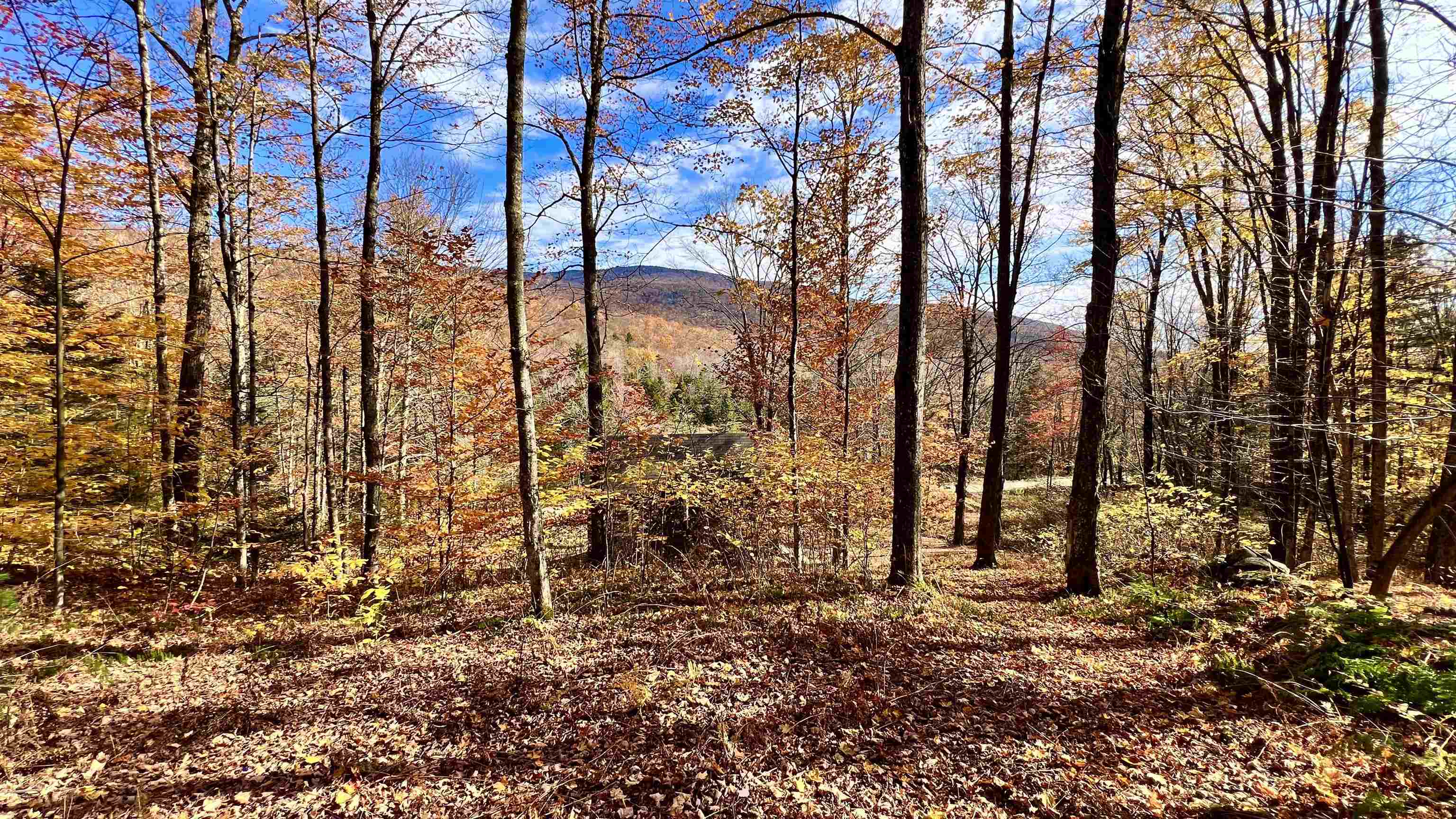 2075 Codding Hollow Road Johnson, VT 05656 - Photo 44 of 54