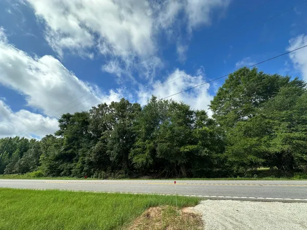 $95,000 | Lot E South Waynesboro Ga 30830, Waynesboro, GA 30830