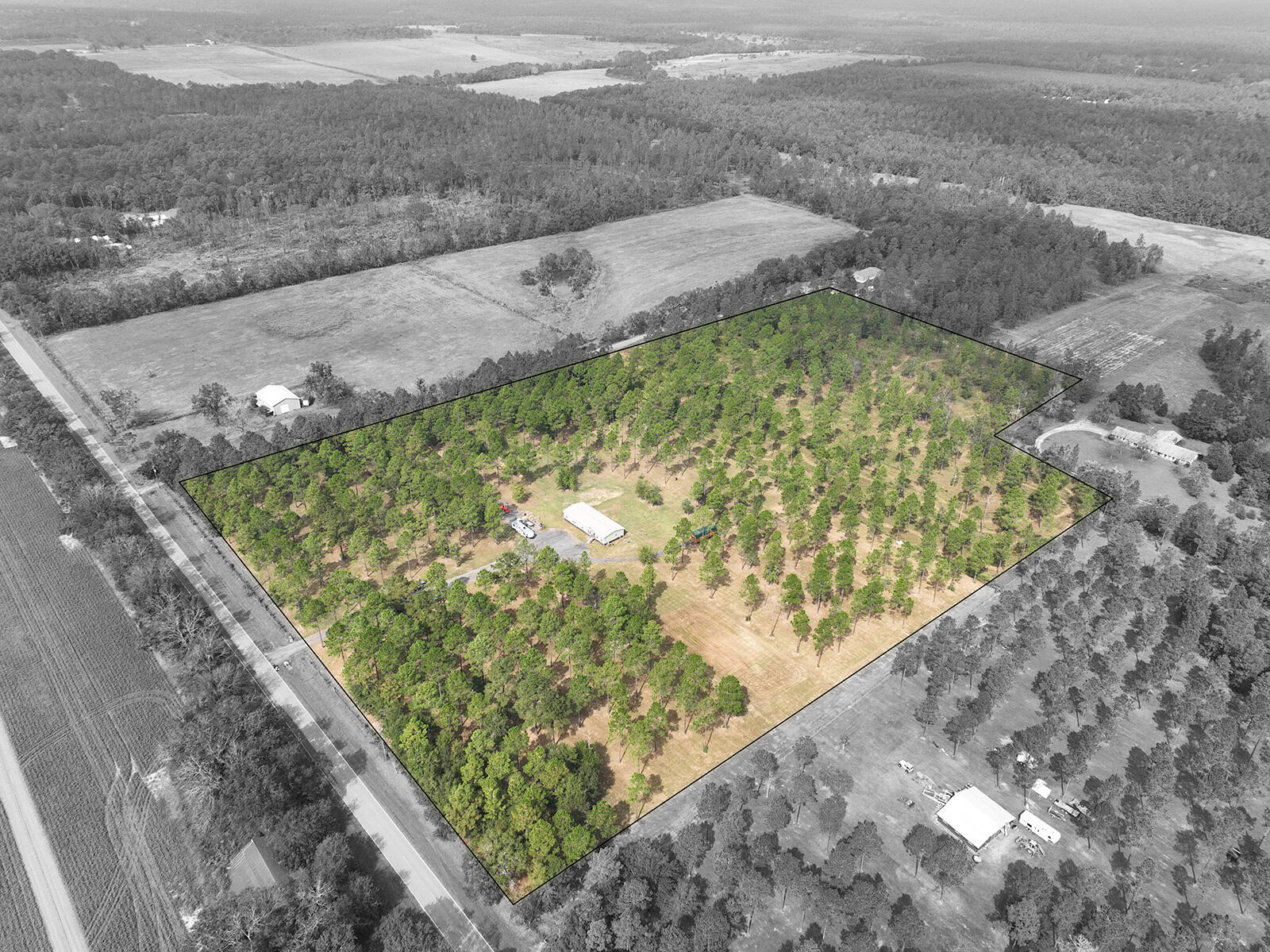965 Melton Road Baker, FL 32531 - Photo 34 of 38 a view of a garden with an outdoor space