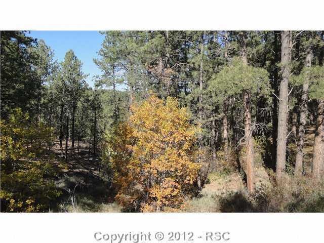 11745 Howells Road Colorado Springs, CO 80908 - Photo 6 of 7