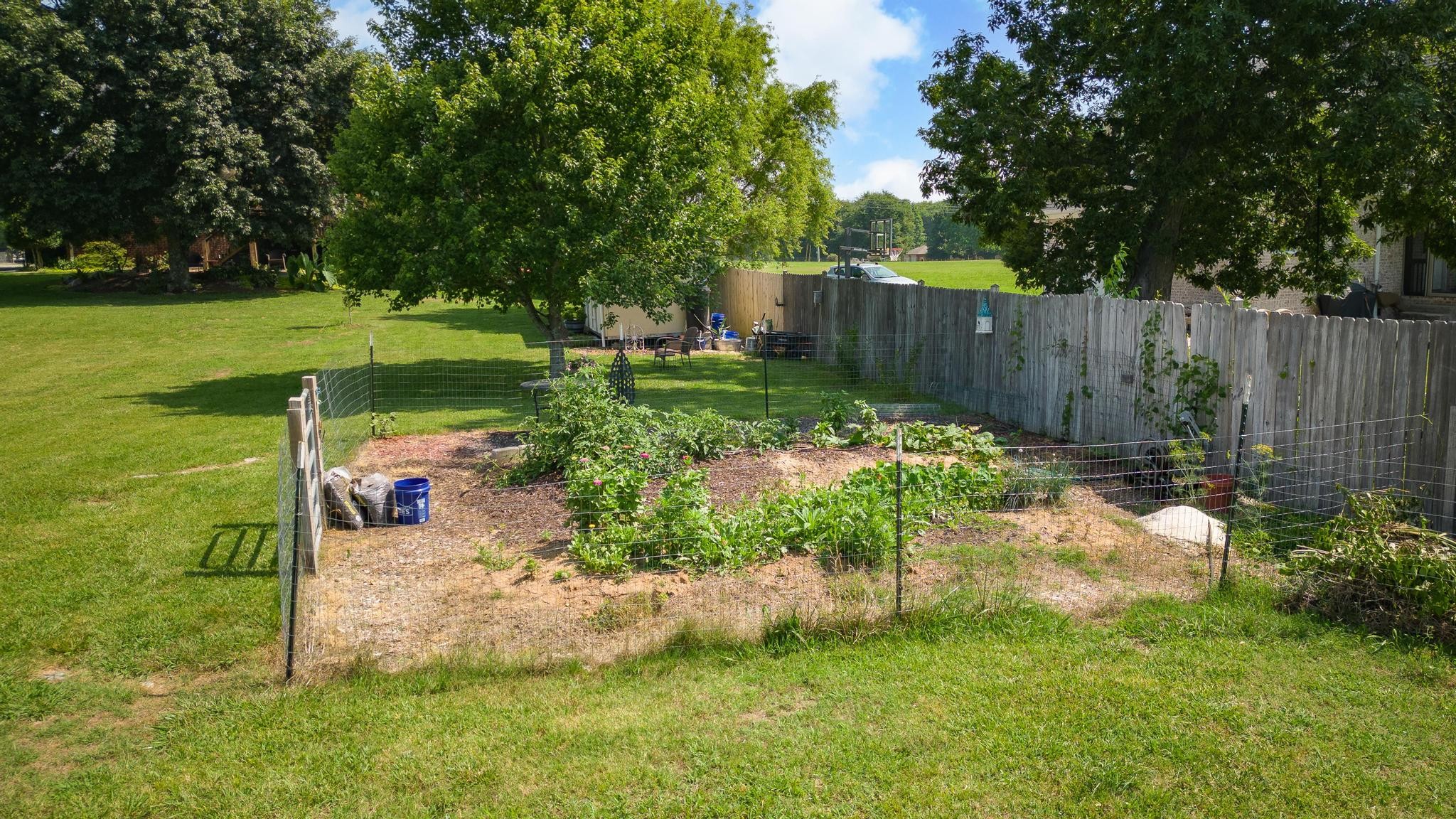 3991 Franklin Road Lebanon, TN 37090 - Photo 42 of 62 a garden with trees in front of it