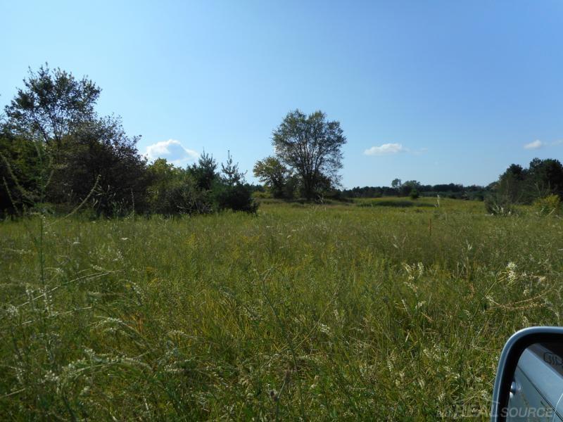 Vl Goetze Road Applegate, MI 48401 - Photo 5 of 14
