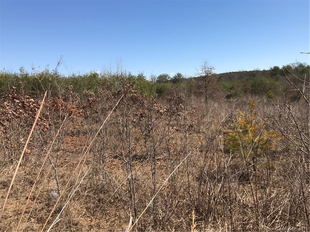 0 Poors Ford Road, Unit 12 Chesnee, SC 29323 - Photo 5 of 12 a view of a city with lush green forest