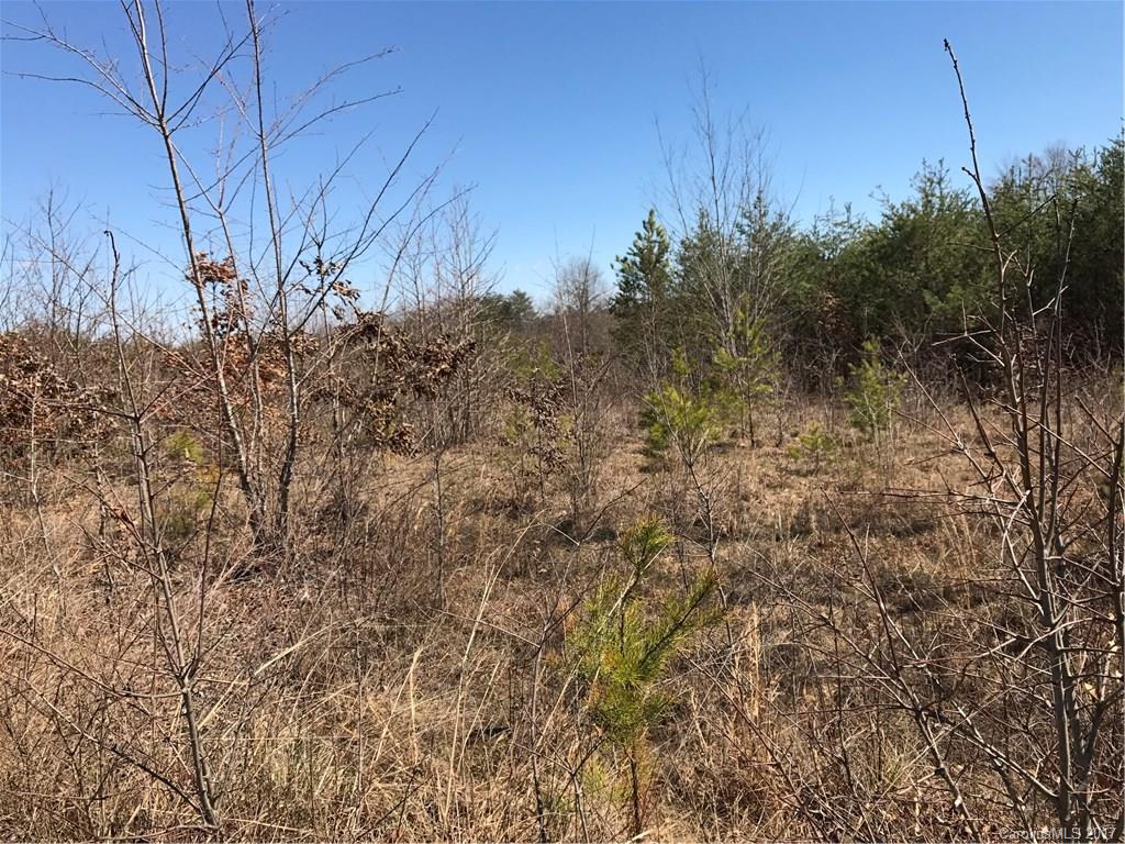 0 Poors Ford Road, Unit 12 Chesnee, SC 29323 - Photo 7 of 12 a view of a dry yard