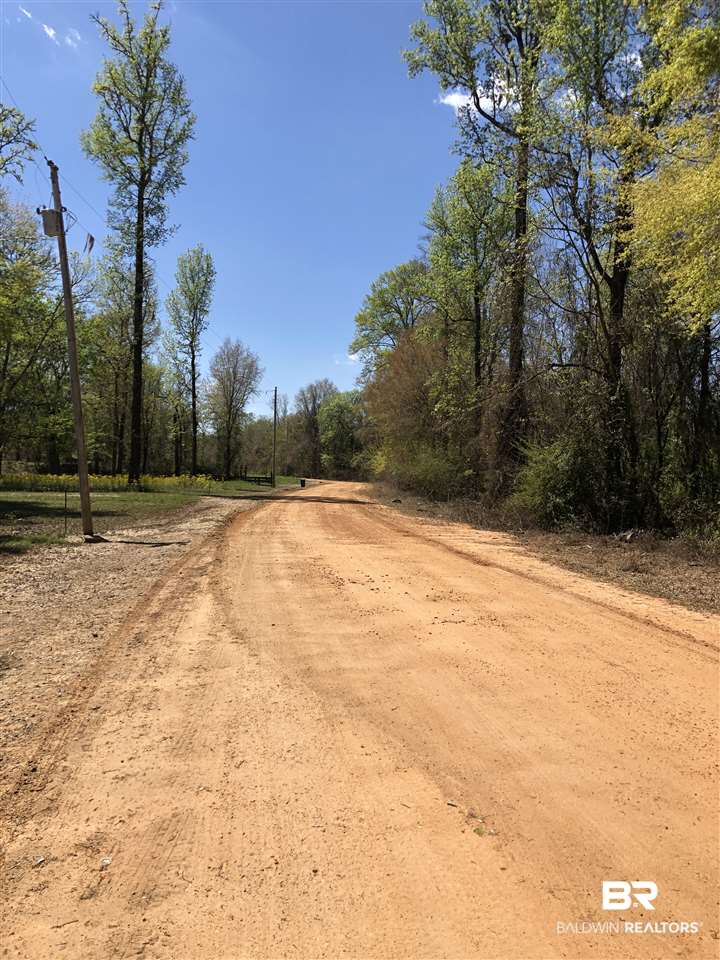 19 Sandy Bottoms Road Gainestown, AL 36540 - Photo 11 of 11 Gallery Image 11