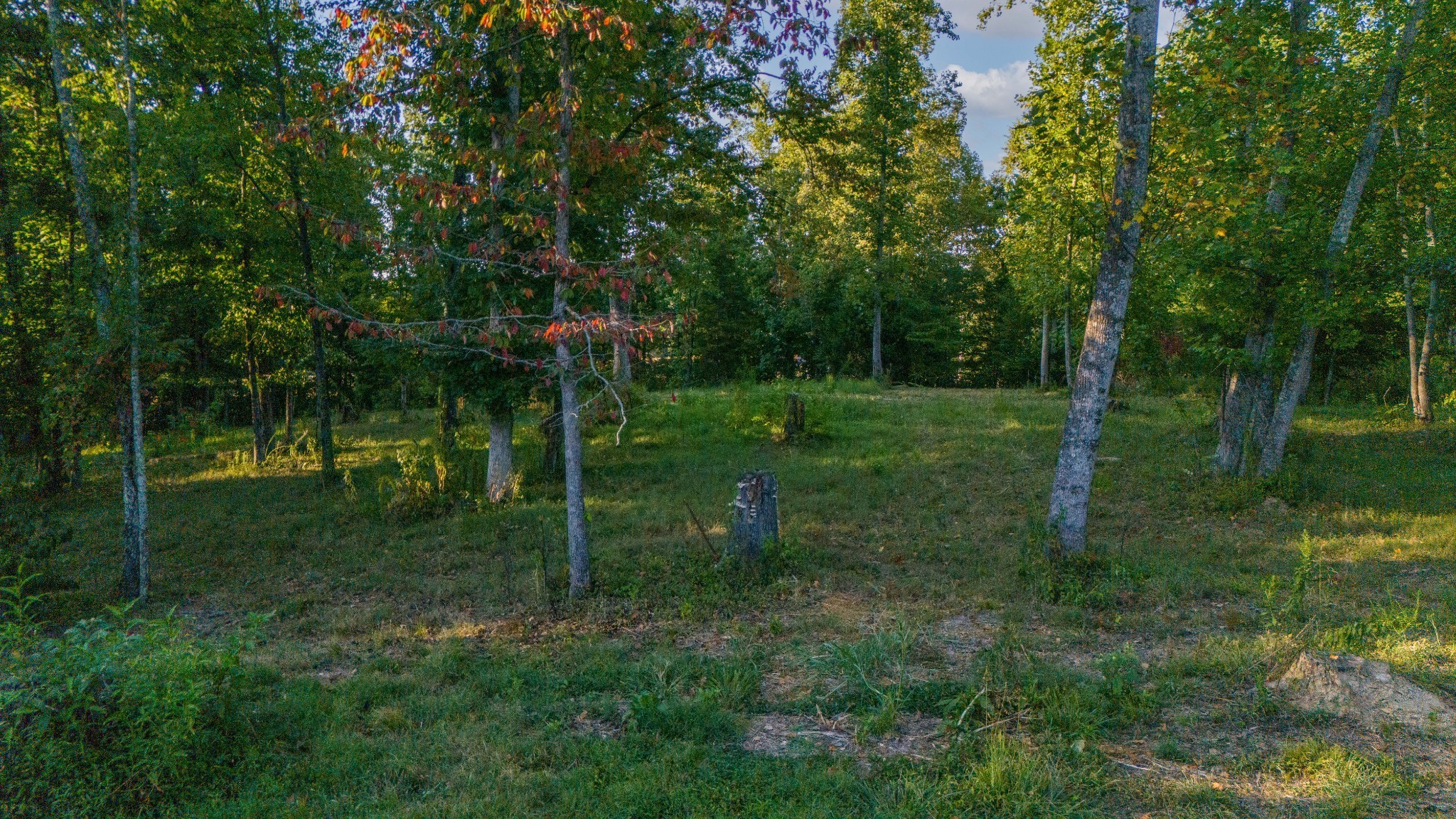 960 Knob Creek Road Lawrenceburg, TN 38464 - Photo 42 of 52