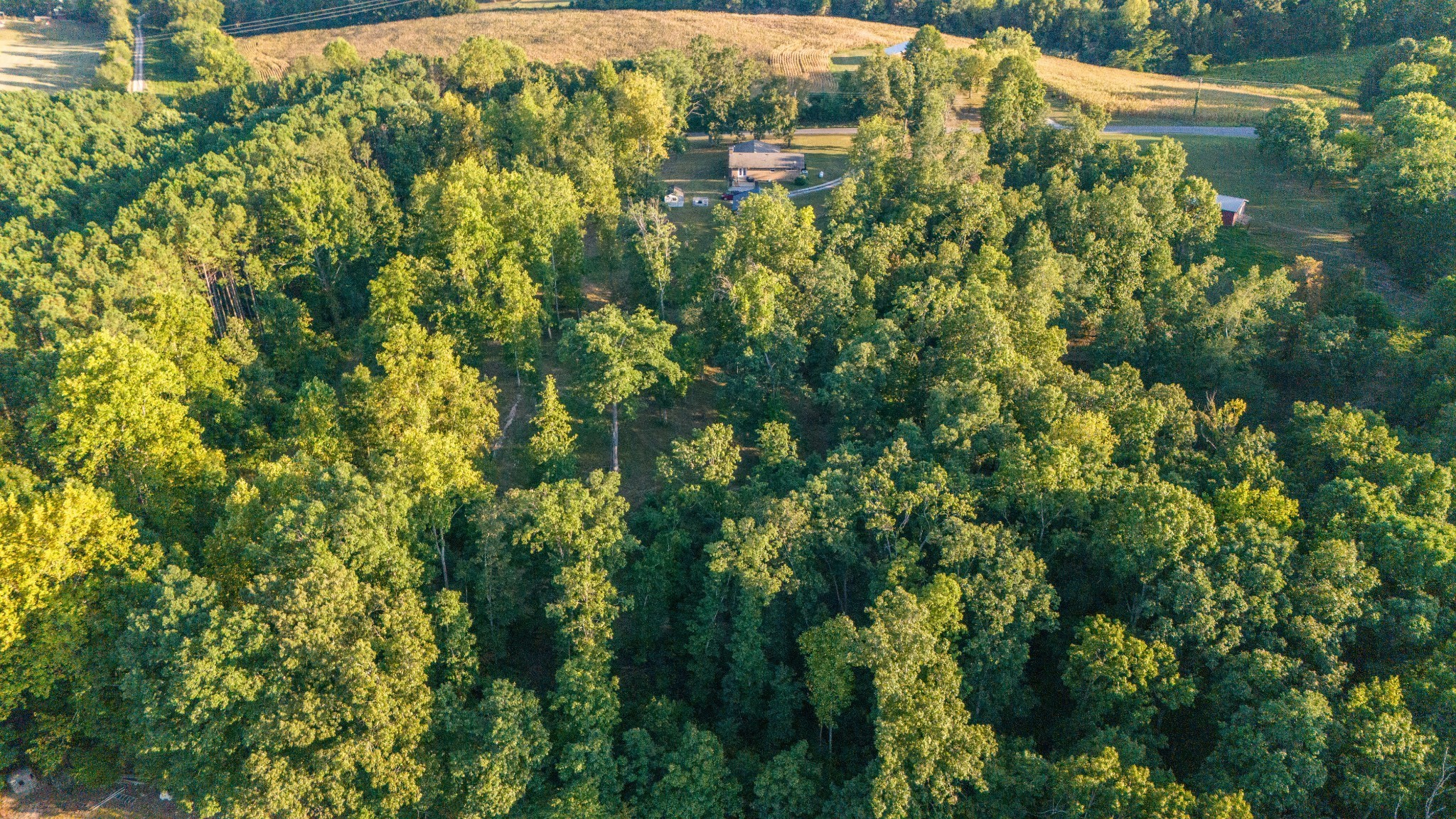 960 Knob Creek Road Lawrenceburg, TN 38464 - Photo 45 of 52