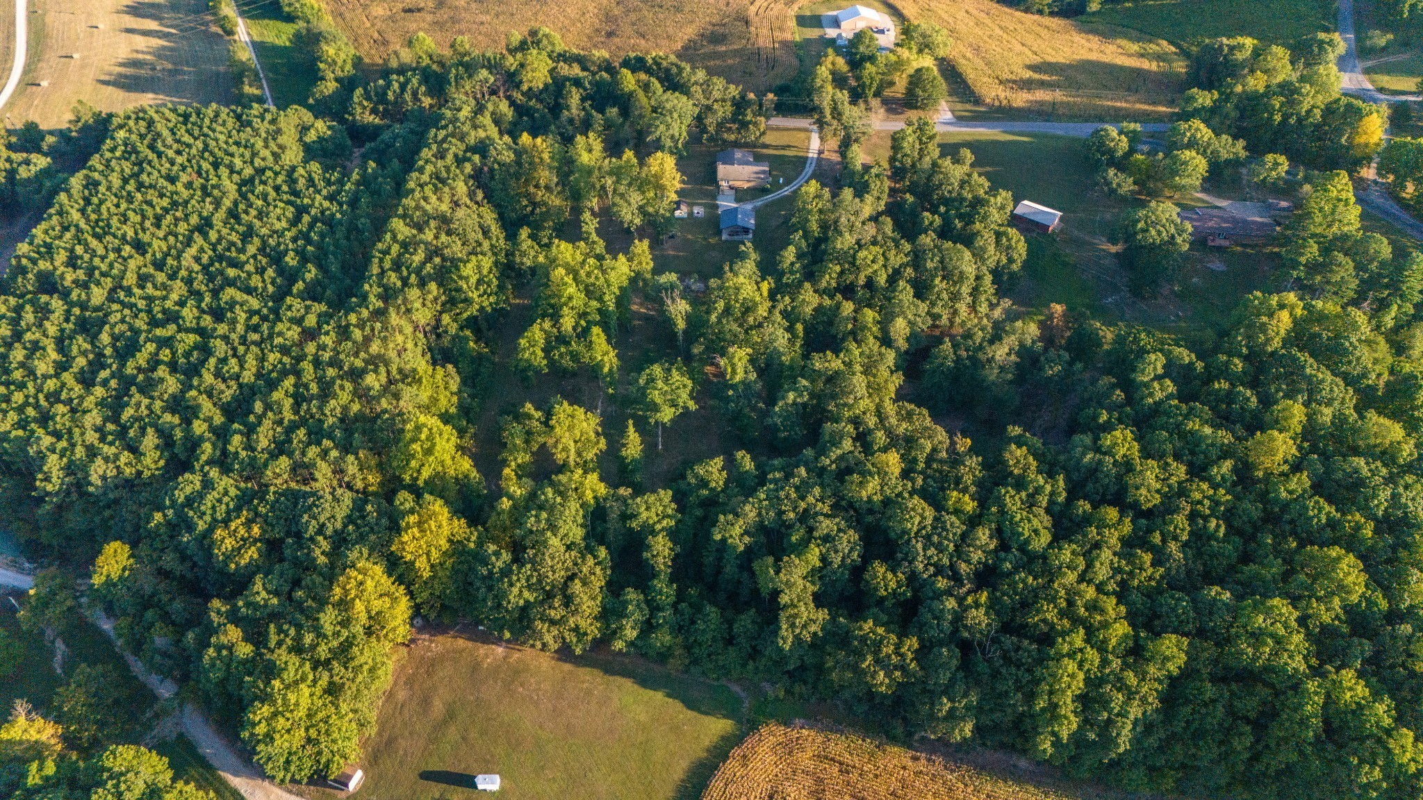 960 Knob Creek Road Lawrenceburg, TN 38464 - Photo 47 of 52