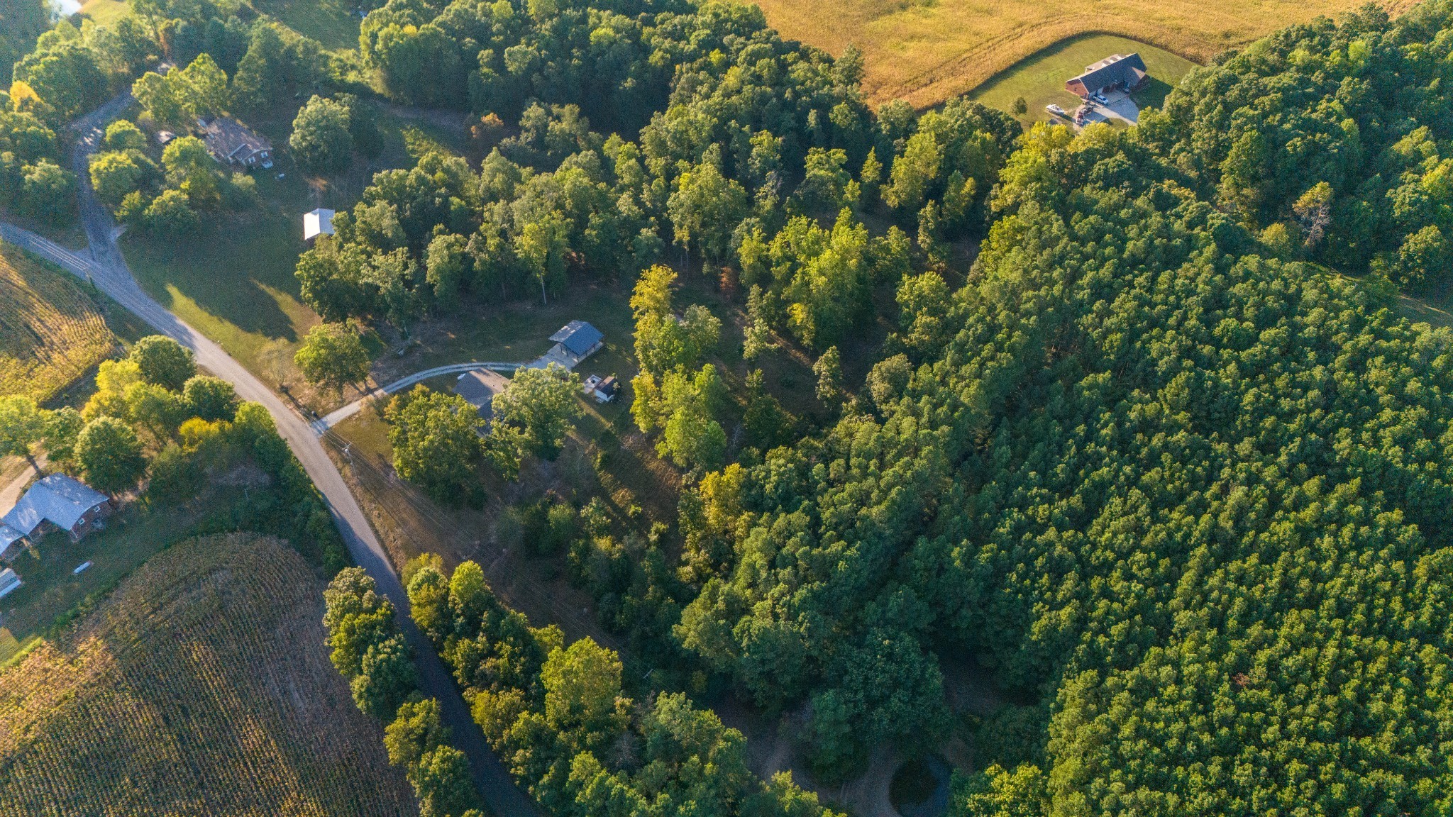 960 Knob Creek Road Lawrenceburg, TN 38464 - Photo 49 of 52