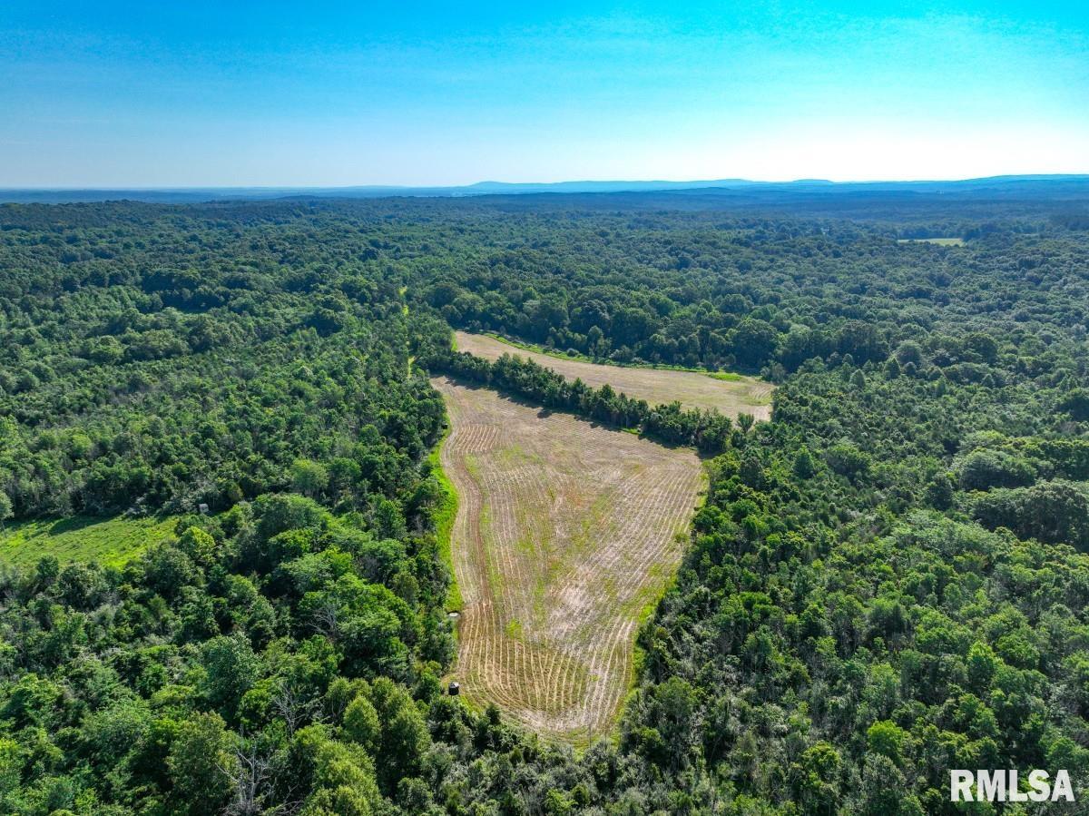 0 Tom Dick Hill Road Stonefort, IL 62987 - Photo 17 of 62